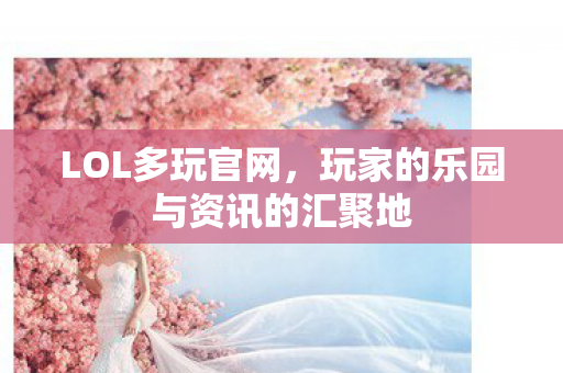 玩家的乐园与资讯的汇聚地图片