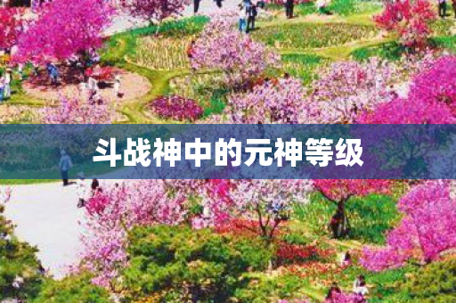 斗战神中的元神等级图片