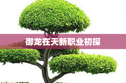 御龙在天新职业初探图片