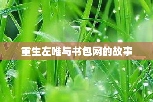 重生左唯与书包网的故事图片
