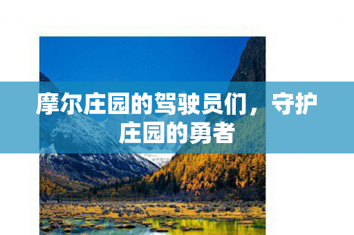 摩尔庄园的驾驶员们图片