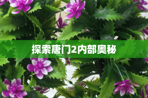 探索唐门2内部奥秘图片