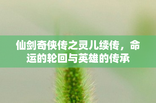 命运的轮回与英雄的传承图片