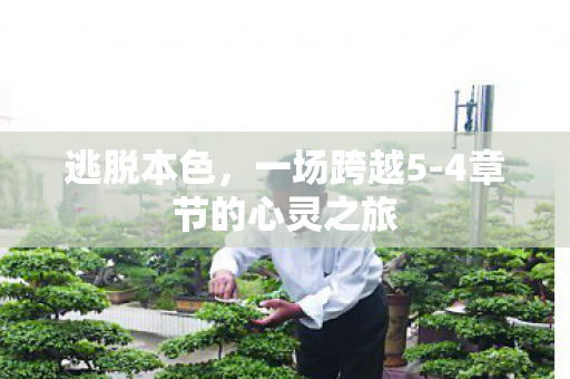 4章节的心灵之旅图片