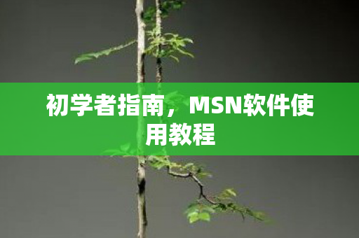 MSN软件使用教程图片