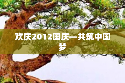 欢庆2012国庆图片