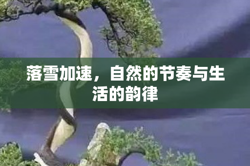 自然的节奏与生活的韵律图片