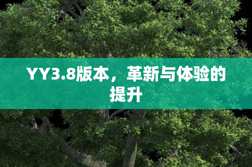 革新与体验的提升图片