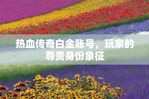 玩家的尊贵身份象征图片