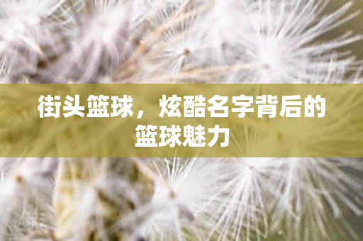 炫酷名字背后的篮球魅力图片