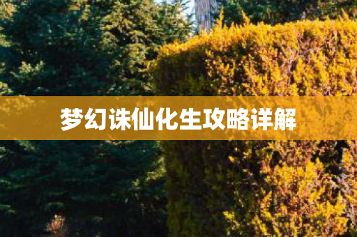 梦幻诛仙化生攻略详解图片