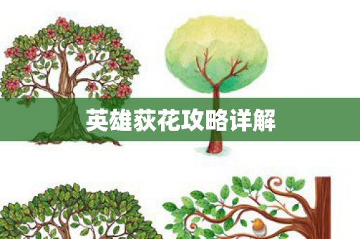 英雄荻花攻略详解图片