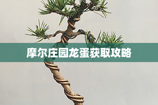 摩尔庄园龙蛋获取攻略图片