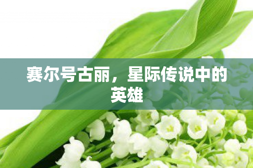 星际传说中的英雄图片