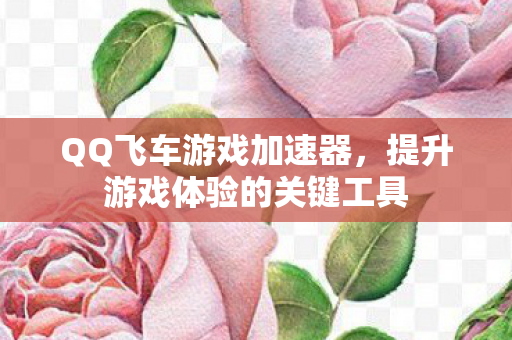 提升游戏体验的关键工具图片