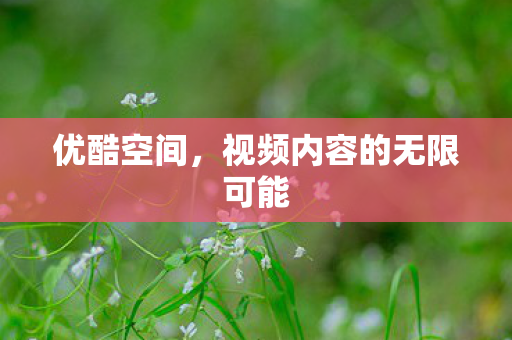视频内容的无限可能图片