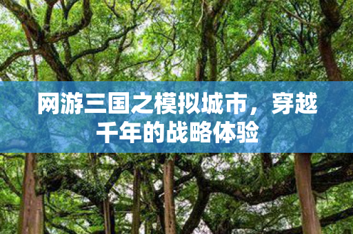 网游三国之模拟城市图片