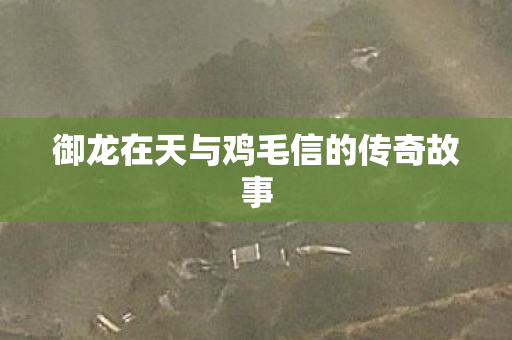 御龙在天与鸡毛信的传奇故事图片