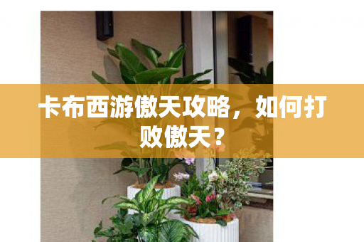 卡布西游傲天攻略图片
