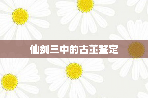 仙剑三中的古董鉴定图片
