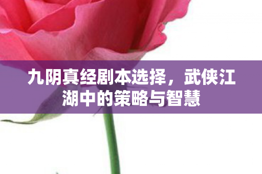 武侠江湖中的策略与智慧图片