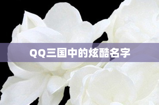 QQ三国中的炫酷名字图片