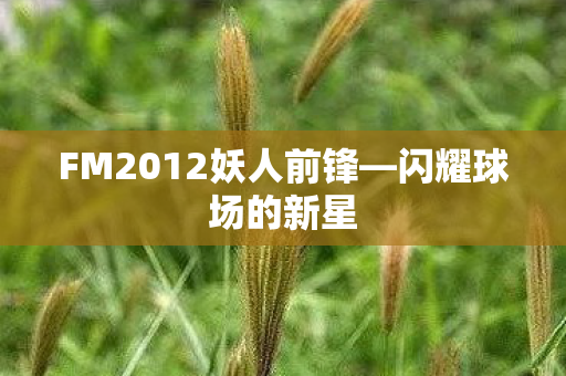 FM2012妖人前锋图片