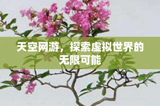探索虚拟世界的无限可能图片