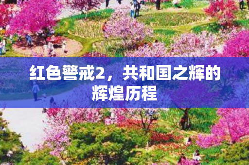 共和国之辉的辉煌历程图片