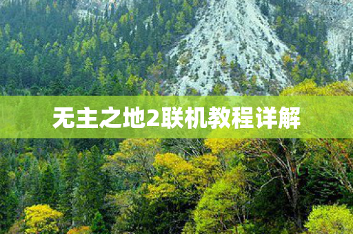 无主之地2联机教程详解图片