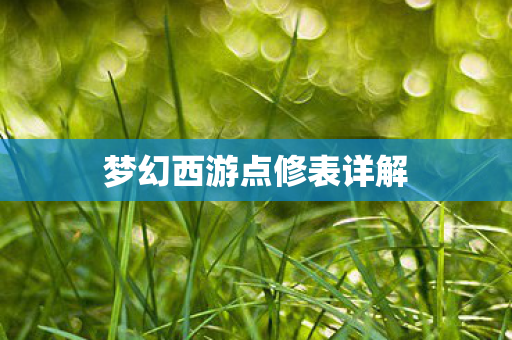 梦幻西游点修表详解图片