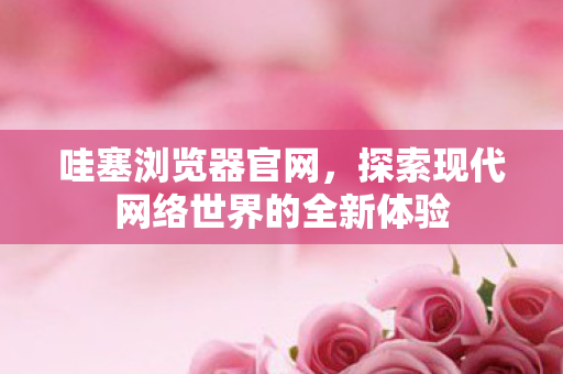 探索现代网络世界的全新体验图片