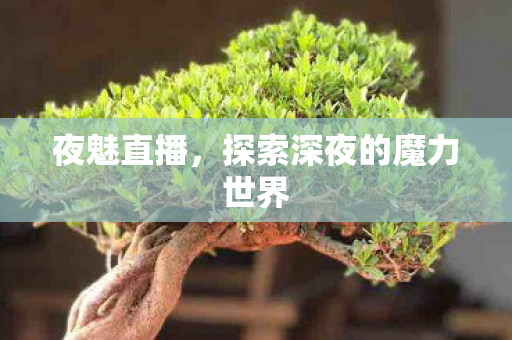 探索深夜的魔力世界图片
