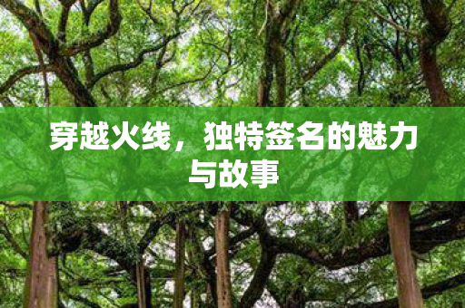 独特签名的魅力与故事图片