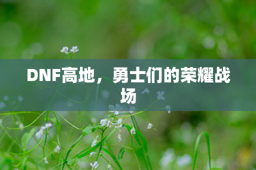 勇士们的荣耀战场图片