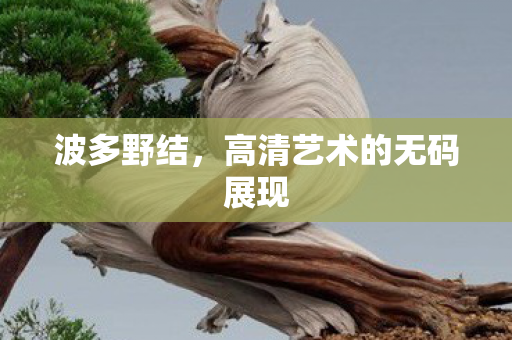高清艺术的无码展现图片