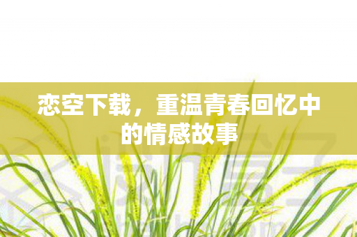 重温青春回忆中的情感故事图片