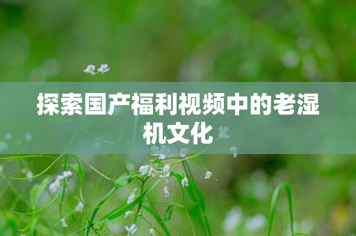 探索国产福利视频中的老湿机文化图片