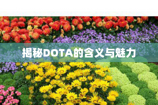 揭秘DOTA的含义与魅力图片