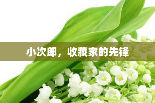 收藏家的先锋图片