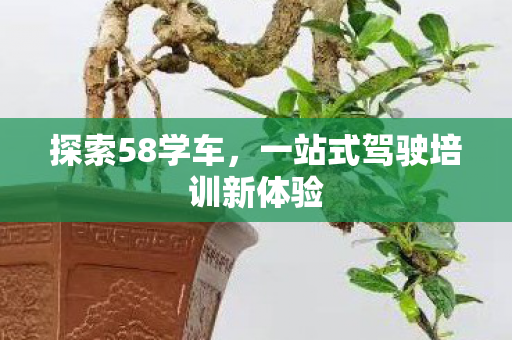 一站式驾驶培训新体验图片