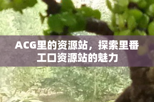 探索里番工口资源站的魅力图片