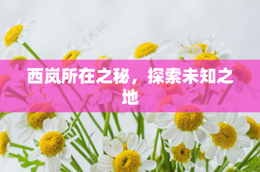 西岚所在之秘图片