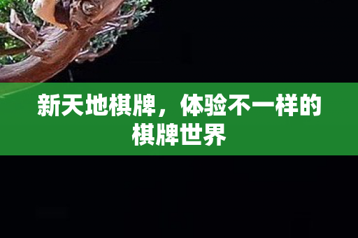 体验不一样的棋牌世界图片