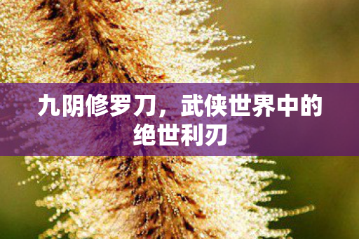 武侠世界中的绝世利刃图片