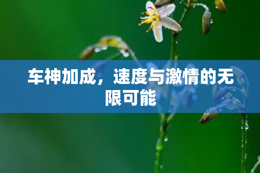 速度与激情的无限可能图片
