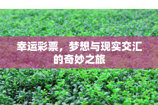 梦想与现实交汇的奇妙之旅图片