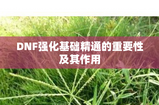 DNF强化基础精通的重要性及其作用图片