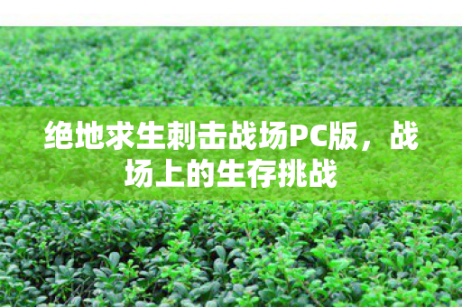 绝地求生刺击战场PC版图片