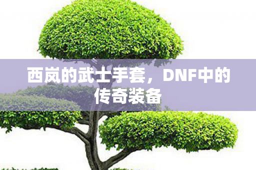 DNF中的传奇装备图片
